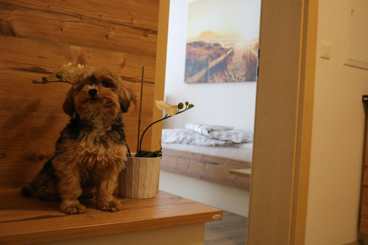 Zirben Diamant Rooms & Dogs Obdach Kültér fotó